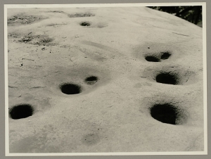 Miwok mortars where seeds and nuts were ground.  Smithsonian archive